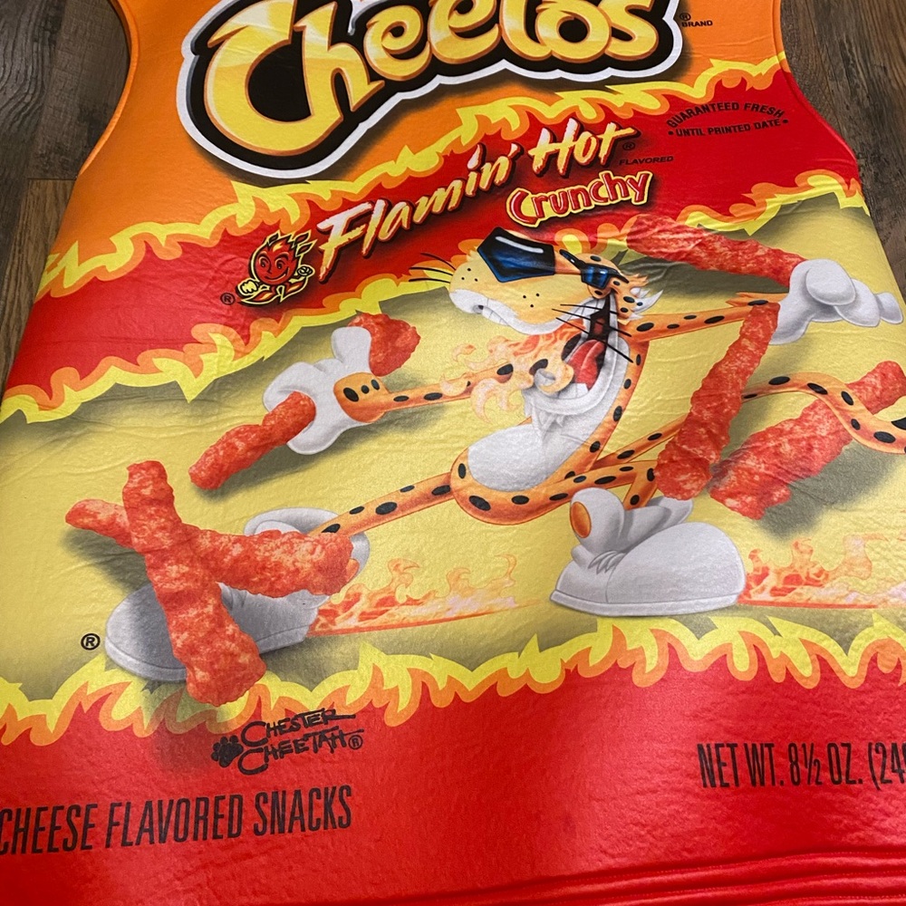 Cheetos Flamin' Hot Crunchy bag costume - Picture 2 of 10